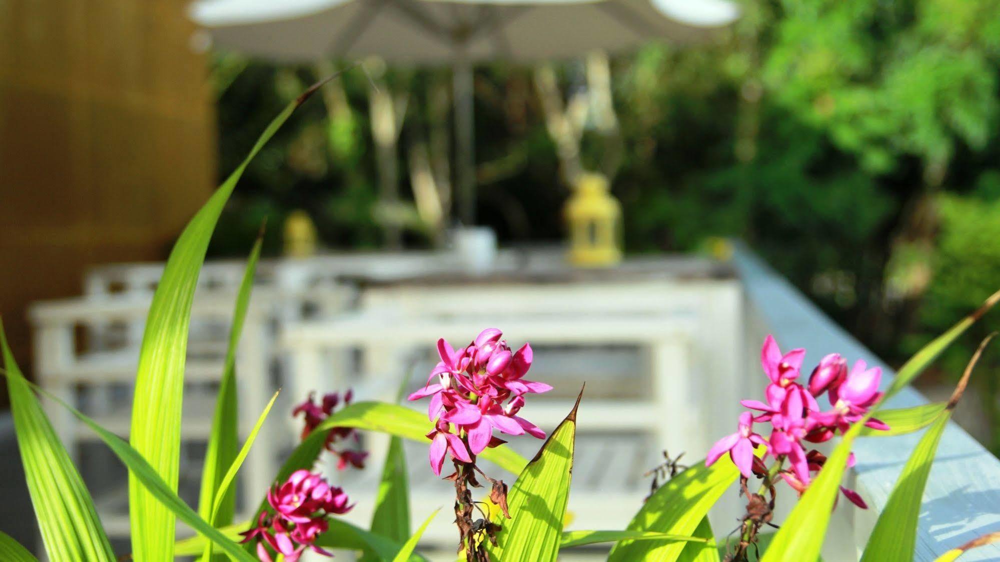 Emis Hotel Phu Quoc Buitenkant foto